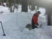 Digging in snow photo
