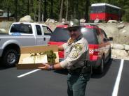 MCSO Mounted Patrol duty ....
