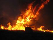 June Lake Fire July 2007