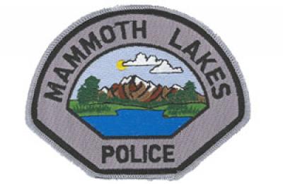 MLPD Badge